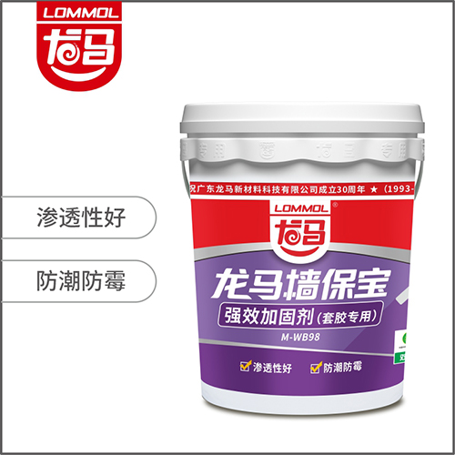 龙马樯保宝（强效加固剂）套胶专用M-WB98