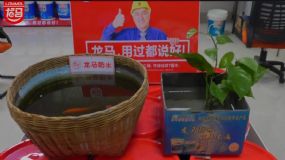 龙马防水，用过都说好！