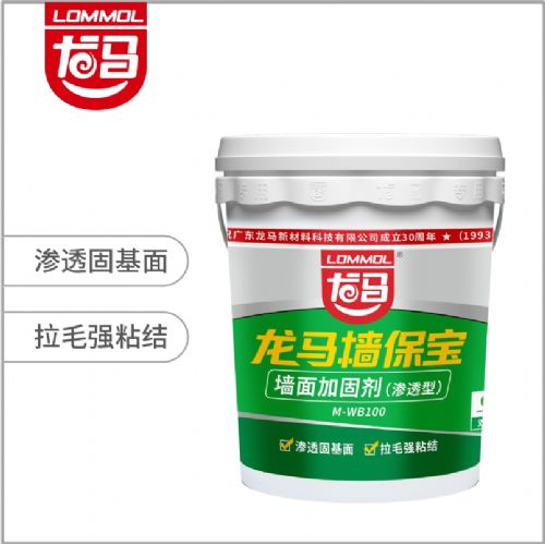 龙马樯保宝（墙面加固剂）渗透型 M-WB100